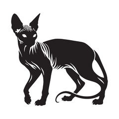 Shadowy hairless cat silhouette suited to supernatural themes – hairless cat silhouette – hairless cat vector illustration – silhouette of hairless cat

