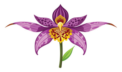 Naklejka premium Vibrant purple orchid flower with yellow center detailed illustration