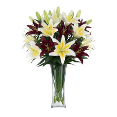 Fototapeta premium Vibrant bouquet of white and dark red lilies arranged in clear glass vase, showcasing beautiful contrast of colors and elegant floral design