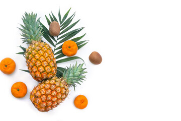 Tropical fruits, pineapple, tangerine, kiwi and palm leaves on a white background with copy space for text. Top view, flat lay