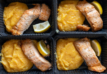 4 Portions Salmon With Vegetable Puree and Lemon