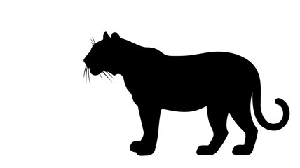 Fototapeta premium A black silhouette of a majestic, muscular tiger standing on all fours, with a long tail curved upwards. The background is plain white, emphasizing the powerful, sleek form of the animal.