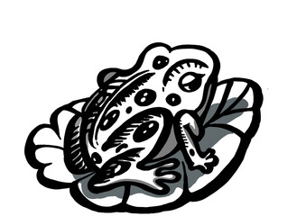 picture of a black and white frog sitting on a lotus leaf
