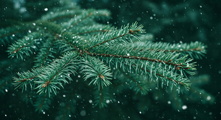A close up of a pine tree branch with snow falling in the background during the winter season outdoors