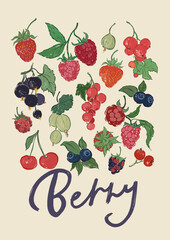 Vector fruit poster of strawberry, raspberry and cherry. Hand-drawn garden harvest sketch. Tasty food illustration for restaurant and cafe interior, fruit market drawing print, fabric or background.