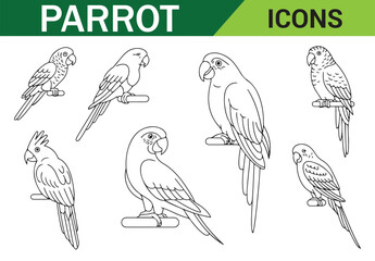 Parrot Line Art Drawing – Beautiful Bird Perched on Tree Branch