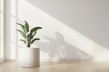 White cylindrical podium in spacious minimal photo scene