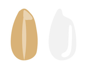 玄米と白米のイラストのセット