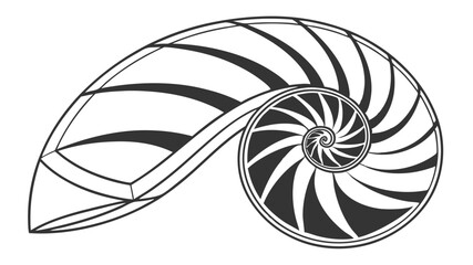 Obraz premium black and white swirl