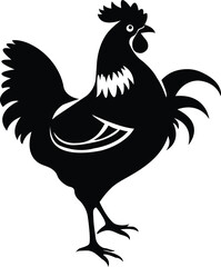 Fototapeta premium rooster isolated on white background