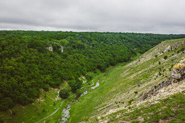 The magic of nature, a green and beautiful landscape.
