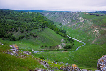 The magic of nature, a green and beautiful landscape.