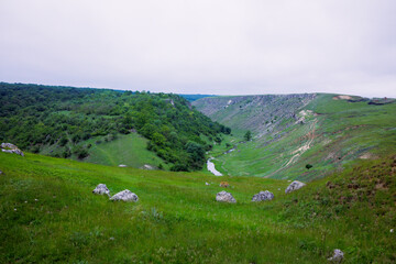 The magic of nature, a green and beautiful landscape.