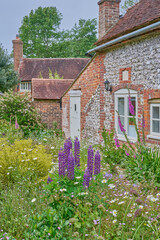 English country cottage and cottage garden in summer