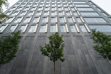 Young green trees against an imposing stone facade of a tall, modern urban building. This contrast...