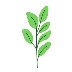 Fototapeta premium Leaf vector colorful on transparent background