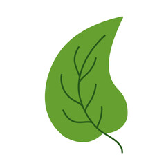 Leaf vector colorful on transparent background