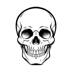 Hand-drawn skull illustration, black and white, for design projects