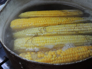 corn on the cob