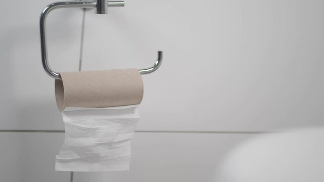Empty toilet paper roll highlights need for restocking
