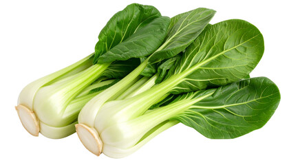 Fresh pak choi vegetables with vibrant green leaves, showcasing crisp texture and nutritional value, isolated on clean transparent backdrop