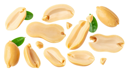 Rotating peanut halves and whole nuts cascading with fresh green leaves, suspended on clear backdrop