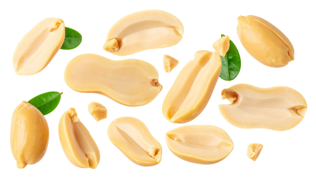 Rotating peanut halves and whole nuts cascading with fresh green leaves, suspended on clear backdrop