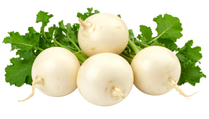 White turnips displaying fresh green leafy tops, showcasing crisp agricultural produce against clean transparent backdrop