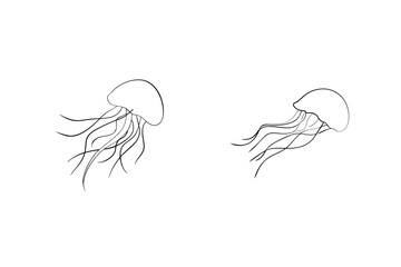 Simple line art illustration of two swimming jellyfish on a clean white background