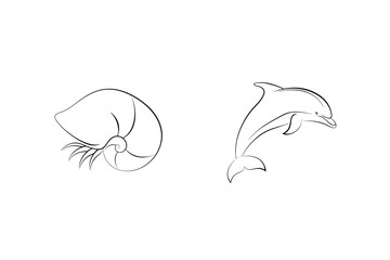 Simple line art illustration of a nautilus shell and a playful dolphin on white
