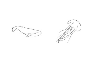 Simple line drawing of a whale and a jellyfish floating in open water