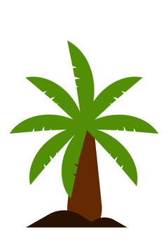 Tropical palm tree illustration with green fronds brown trunk on dark soil mound, summer beach vacation icon, flat design vector graphic isolated white. High res PNG