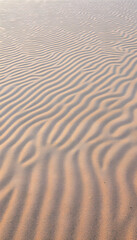 Fototapeta premium Wind-sculpted rippled sand patterns along the ocean shore, natural textured backdrop, wavy design, banner image, watercolor. with white shades
