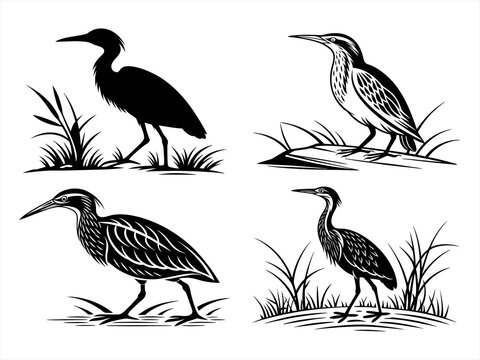 bittern silhoette black vector bundle