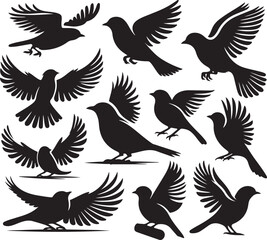Obraz premium Silhouette vector set of flying birds and wildlife icons