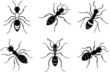 A seamless pattern of black ant insects, beetles, and other bugs a vector animal illustration set