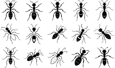 A seamless vector pattern of various black insect silhouettes including ants, spiders, bees, and butterflies