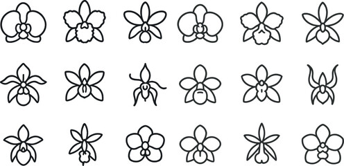 Orchid outline set for floral design and decoration projects