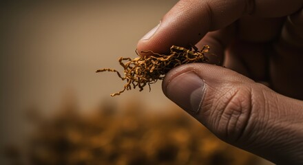 Natural Light on Shredded Tobacco