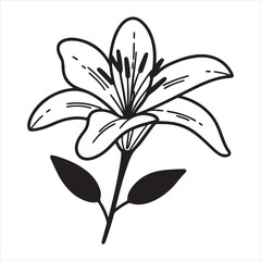 Sage Flower Botanical – Herbal Bloom in Garden and Wild Nature