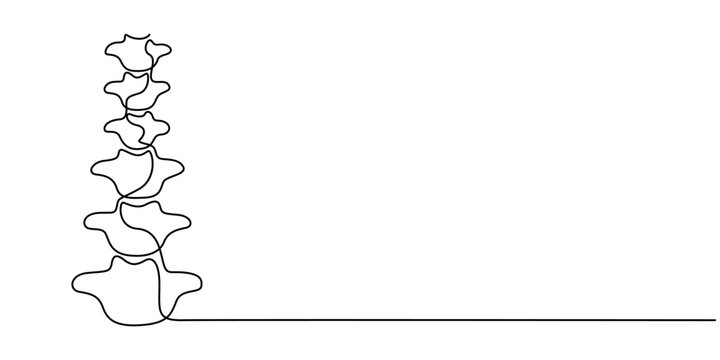 spine continuous one line drawing, Continuous one line drawing bones of human hand.  Wrist bones in single line art vector illustration. Editable stroke., Spine icon, Human spine vector illustration. 