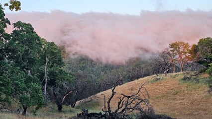 Blanket of fog rolling over a mountain ridge at sunrise