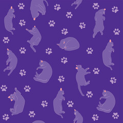 Mystical seamless pattern of cats in boho style, silhouette collection. Esotericism and mysticism, occultism. Cartoon flat vector illustrations, isolated