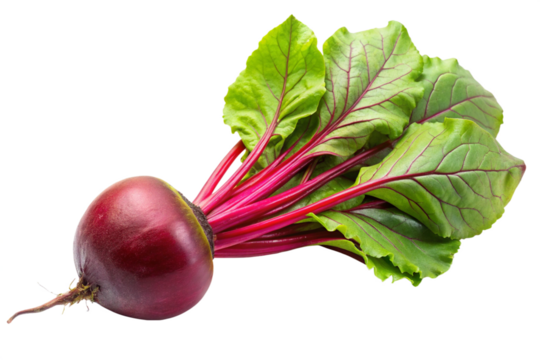 Beetroot with Fresh Green Leaves Attached for Cooking Use Isolated on Transparent Background