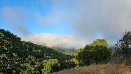 Blanket of fog rolling over a mountain ridge at sunrise