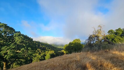 Blanket of fog rolling over a mountain ridge at sunrise