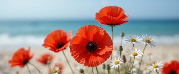 Obraz premium Close-Up of Red Poppies and White Daisies by the Beach – Softly Lit Floral Scene with Ocean Background and Shallow Depth of Field