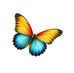 Fototapeta premium Very beautiful blue yellow orange butterfly in flight isolated on a transparent background.