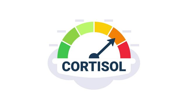 Cortisol level measuring, increasing and decreasing, with and without blue background