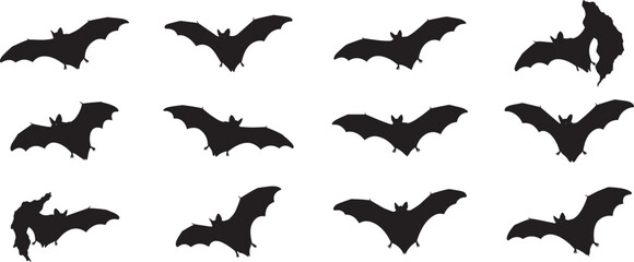 Fototapeta premium Seamless pattern of black bats flying on white background halloween spooky bat vector illustration